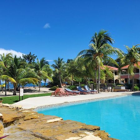Los Porticos Placencia Værelse billede