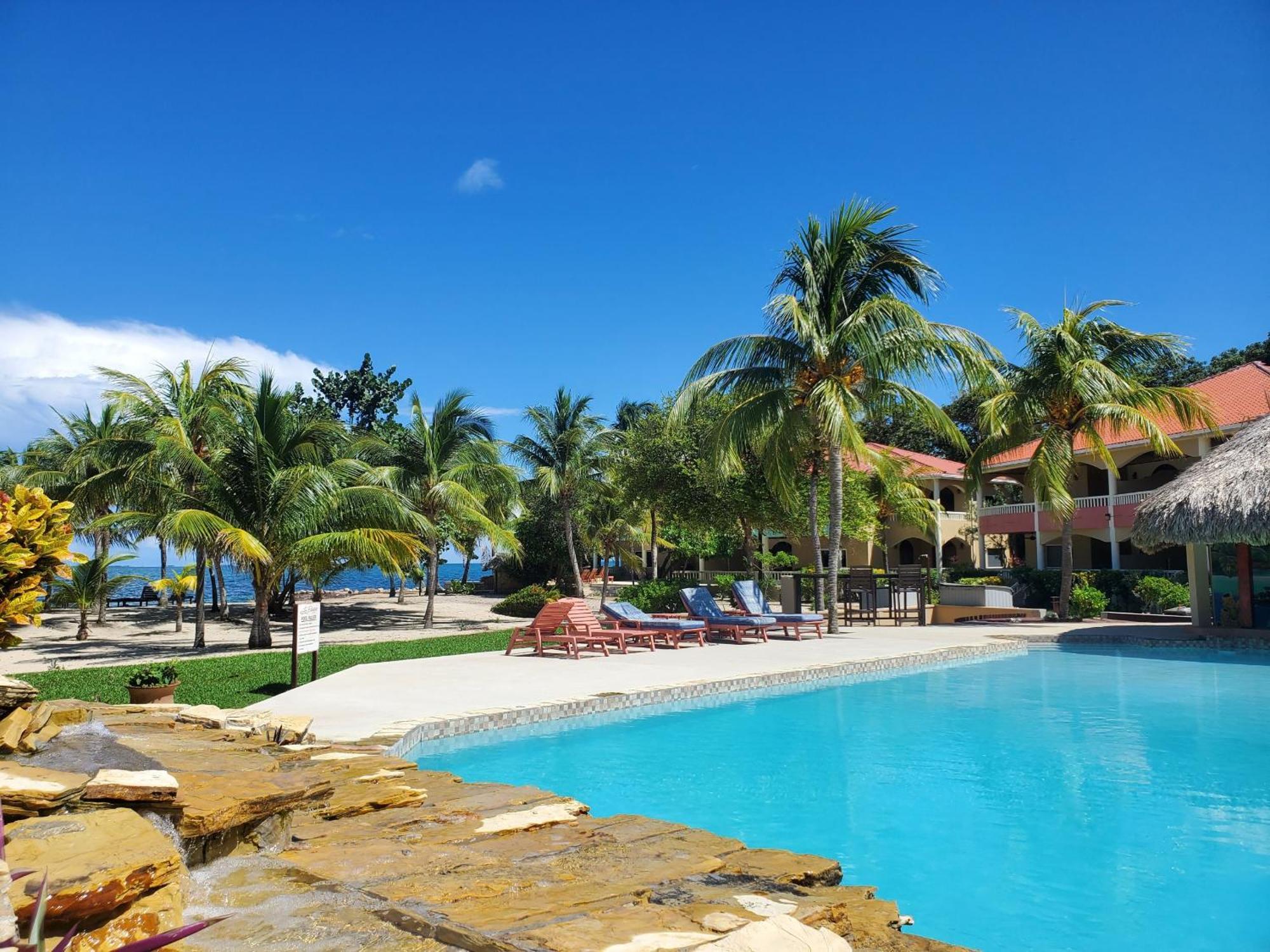 Los Porticos Placencia Værelse billede
