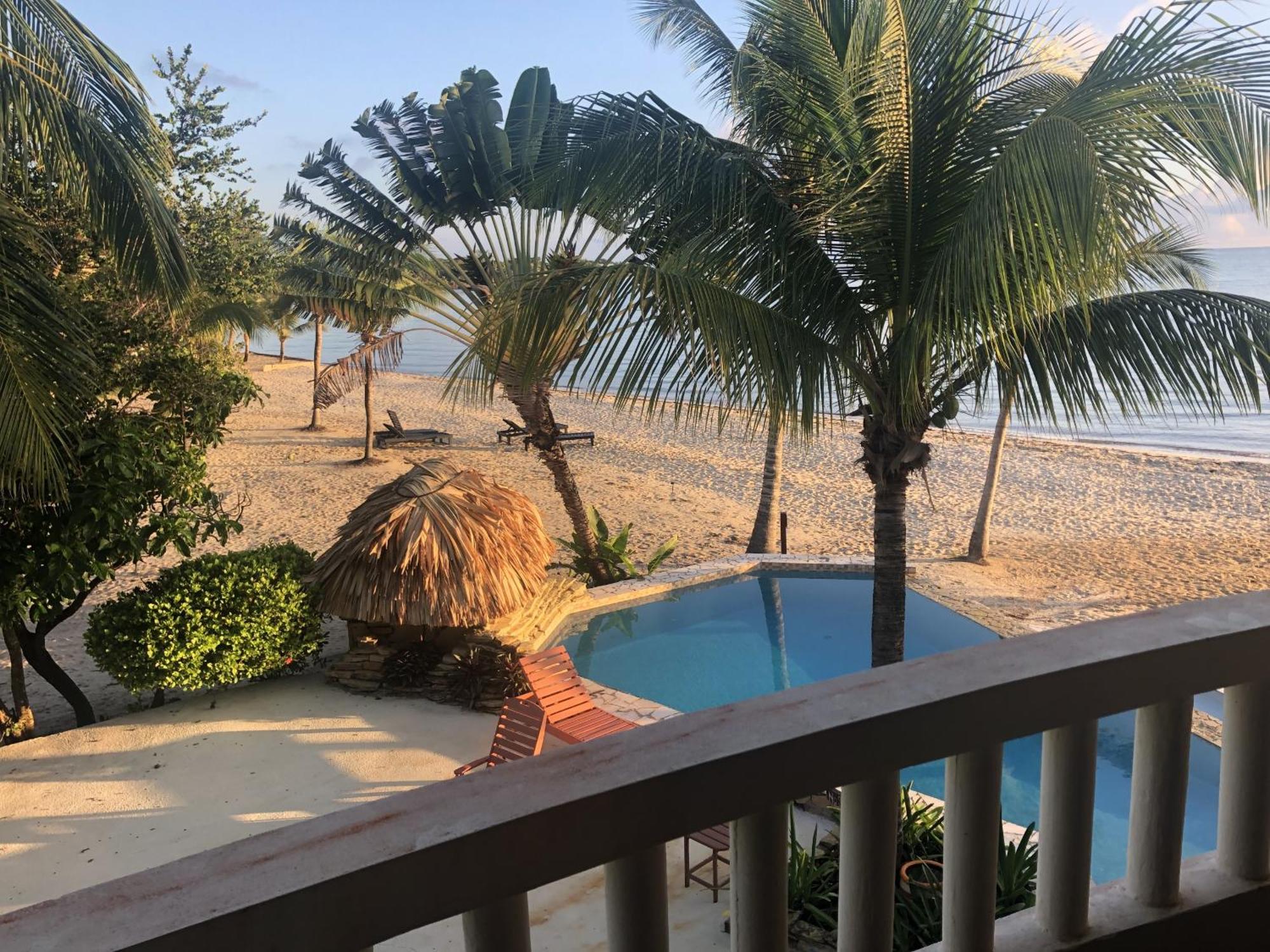 Los Porticos Placencia Værelse billede